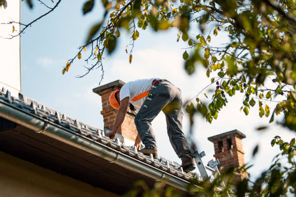 Best Flat Roofing  in Dellwood, MN