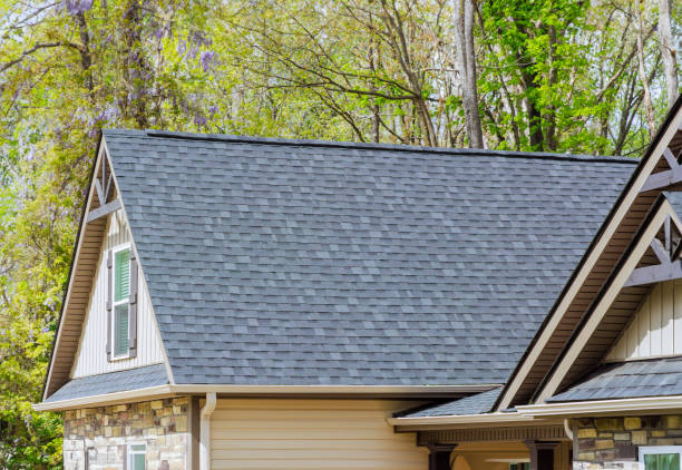 Best Gutter Replacement  in Dellwood, MN