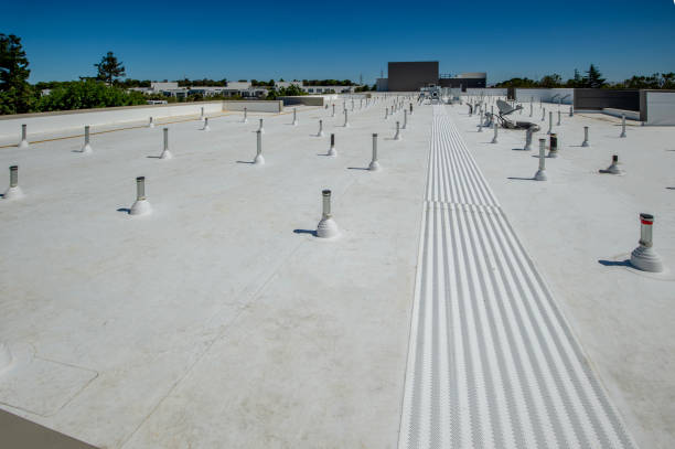 Best Commercial Roofing Services  in Dellwood, MN